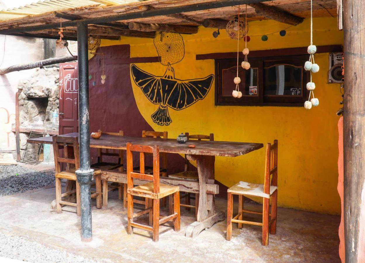 Tierra Andina Hostel 틸카라 외부 사진